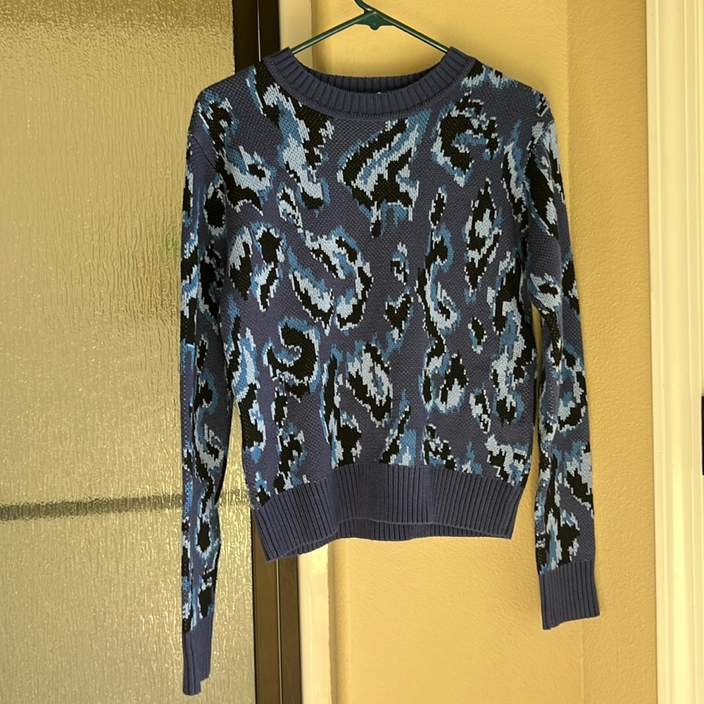 Derek Lam Collective
Blue Animal Print Sweater
$395 comparable value